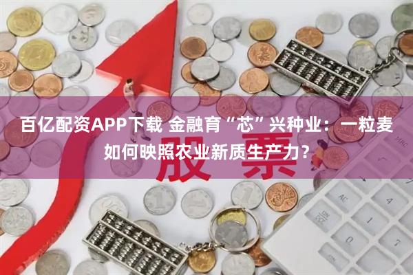 百亿配资APP下载 金融育“芯”兴种业：一粒麦如何映照农业新质生产力？